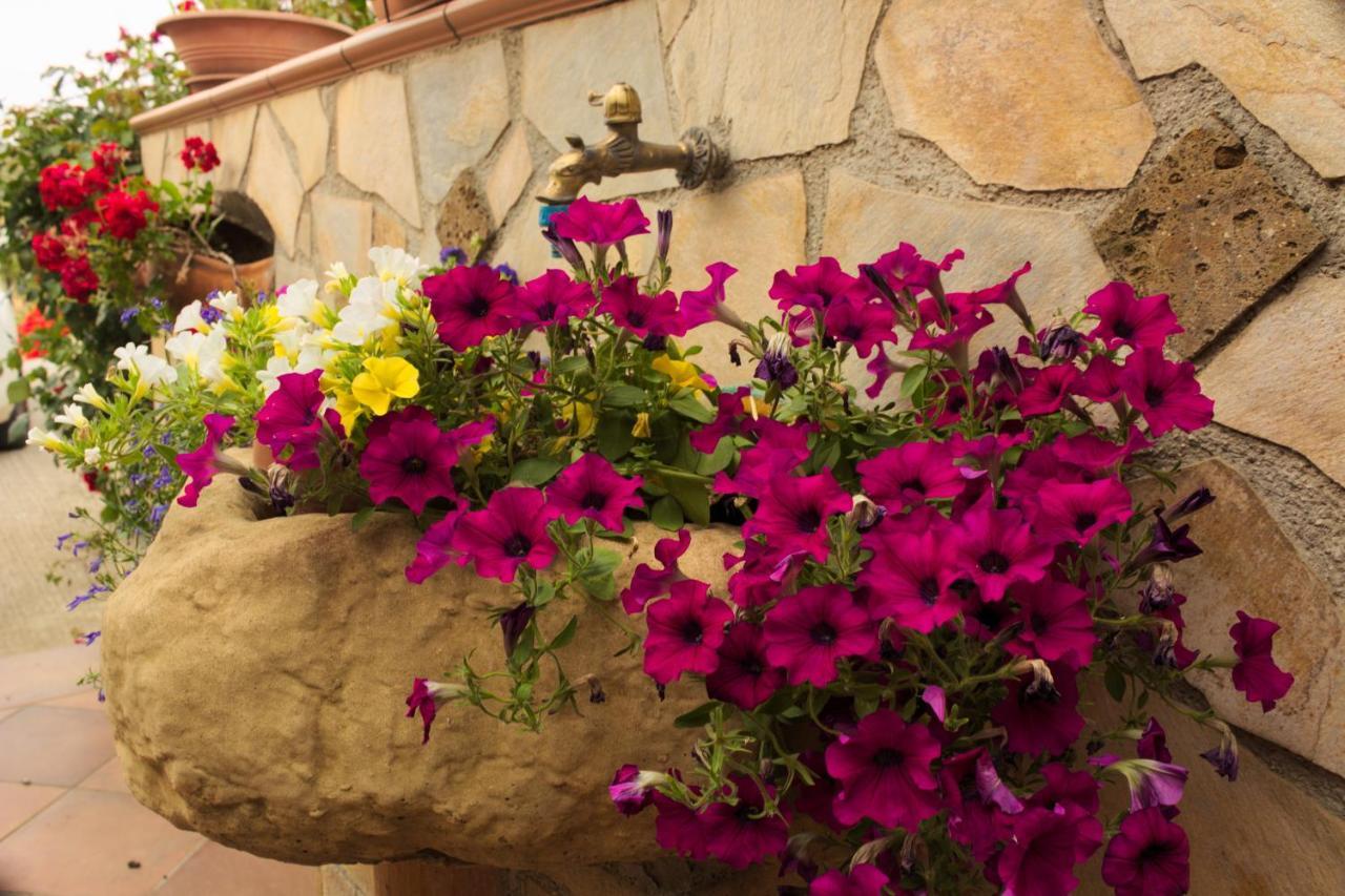 Bed and Breakfast La Casa Di Bia Корлеоне Екстер'єр фото